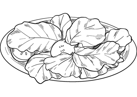 Lettuce Salad Coloring Page